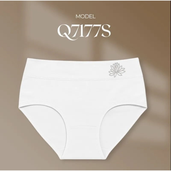 Intimidao Q7177 hladké Bavlněné kalhotky